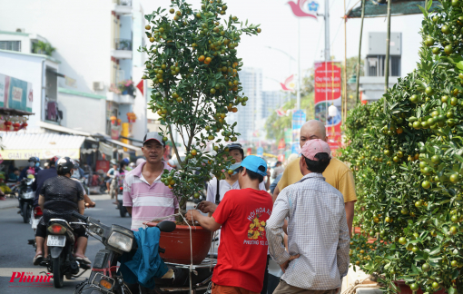 Chợ hoa trên bến dưới thuyền tấp nập ngày tết