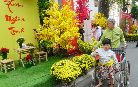 Bệnh viện Chợ Rẫy tưng bừng hội hoa xuân