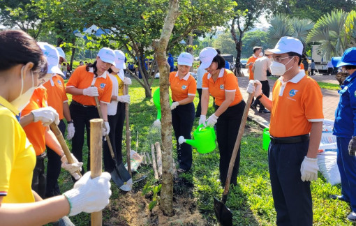Phụ nữ thành phố Hồ Chí Minh chung tay xanh hóa môi trường