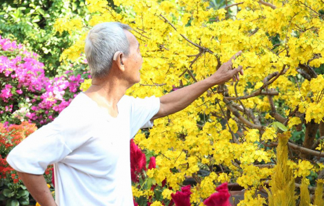 Vườn rau và hoa đầy sắc màu của cụ ông tuổi 80