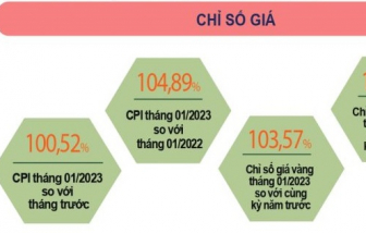 (Infographic) CPI tháng 1 tăng nhẹ do Tết Nguyên đán