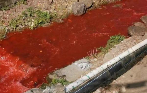 Con sông ở Trung Quốc bất ngờ có màu “đỏ như máu”