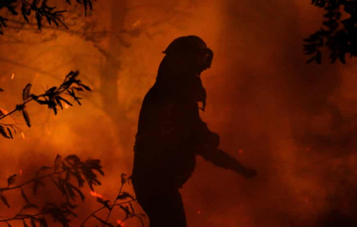 Chile mở rộng tình trạng khẩn cấp khi cháy rừng khiến 4 người thiệt mạng