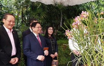 Singapore định danh loài lan mới theo tên Thủ tướng Phạm Minh Chính và Phu nhân
