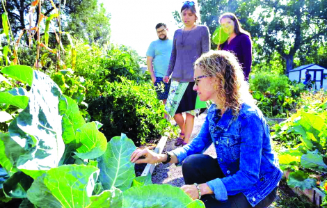 Làm vườn có thể giảm nguy cơ ung thư và gắn kết cộng đồng
