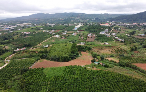 Kiểm tra các dự án nghỉ dưỡng, phân lô bán nền trên toàn tỉnh Lâm Đồng