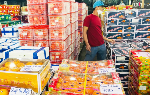 Cam trong nước còn 1.000 - 2.000 đồng/kg, cam nhập vẫn 60.000 đồng/kg