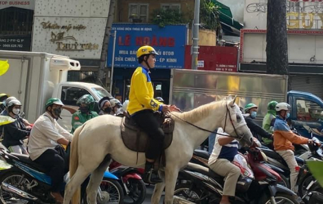 Người đàn ông cưỡi ngựa ở trung tâm TPHCM bị xử phạt