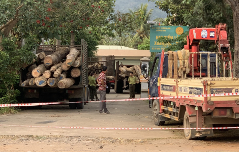 Khởi tố vụ án hình sự về hành vi chặt phá rừng phòng hộ ở Đồng Nai