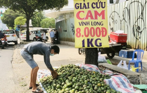 Nông dân biết trồng gì để thoát cảnh được mùa mất giá?