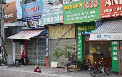 Nha Trang lập lại đội bắt chó thả rông sau vụ chó cắn du khách nước ngoài nhập viện