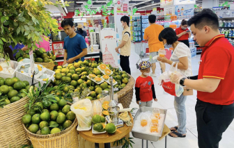 Siêu thị, sàn thương mại điện tử "giải cứu" cam sành