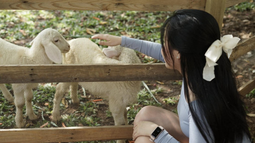 Những quán cà phê cho người muốn "cắm trại" ngay trung tâm TPHCM dịp cuối tuần