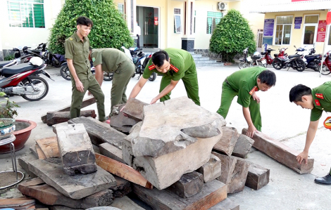 An Giang: Phát hiện 40 khúc gỗ hương nghi nhập lậu ở khu vực biên giới