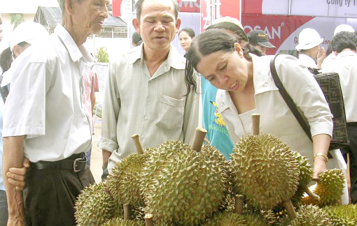 Sầu riêng có nguy cơ thành sầu… chung