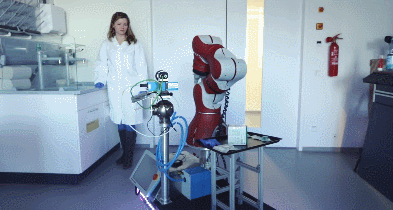 "Robot xã hội" sẽ soán ngôi con người trong nhiều lĩnh vực?