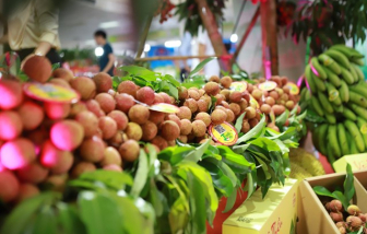 Trung Quốc sẽ thúc đẩy cấp phép nhiều hơn cho nông sản Việt Nam