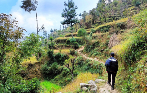 Nepal cấm du khách “băng rừng lội suối” một mình