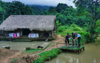 Bỏ phố về rừng sống với ông bà