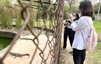 Công viên lớn nhất Nghệ An dừng nuôi động vật, “xin” thả đàn cá sấu về tự nhiên
