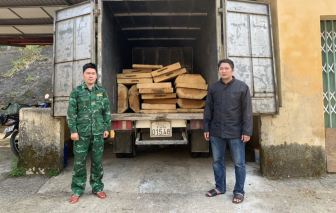 Thừa Thiên - Huế: Bắt nóng xe tải chở 19 phách gỗ quý trái phép