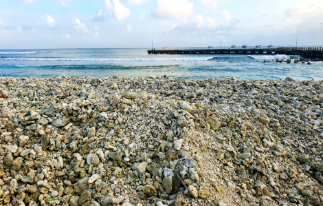 Quy hoạch đê chắn sóng trong khu bảo tồn biển - Chưa đánh giá tác động môi trường toàn khu vực