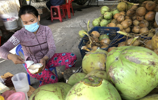 Nắng nóng nhưng giá dừa vẫn giảm mạnh