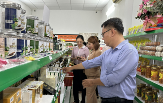 Thành lập hợp tác xã để hợp tác, hỗ trợ nhau cùng phát triển