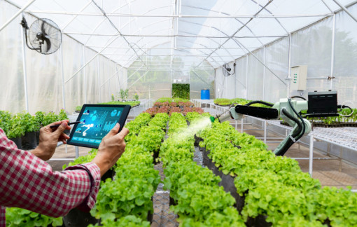 Nông nghiệp Việt Nam cần đến trí tuệ nhân tạo