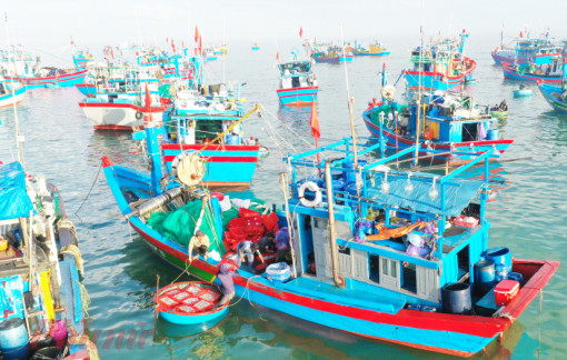 Ngư dân thờ ơ với các tiêu chuẩn thủy sản của EU