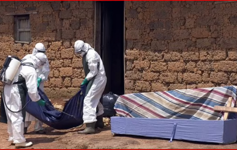 WHO cảnh báo virus Marburg gây tử vong rất cao đang lây nhanh ở châu Phi