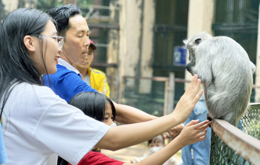 Vườn thú vào trang sách