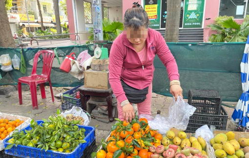Quýt Trung Quốc "đội lốt" quýt Úc