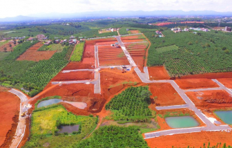 Lâm Đồng không hợp thức hóa các dự án tự hiến đất làm đường để phân lô, tách thửa