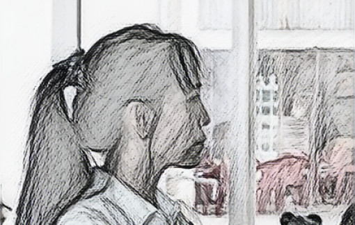 Luật sư “dỏm” lừa tiền tỉ, lãnh án 17 năm tù