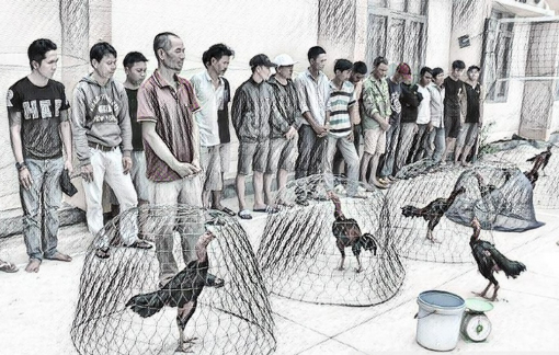 Triệt phá trường đá gà ở Đắk Lắk, thu 3 ô tô và 20 xe máy