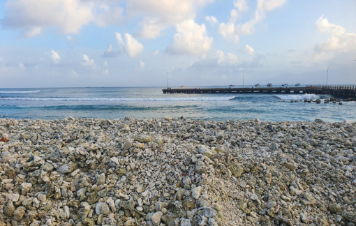 Từ phản ánh của Báo Phụ nữ TPHCM: Đề nghị tỉnh Quảng Ngãi báo cáo việc điều chỉnh diện tích khu bảo tồn biển Lý Sơn