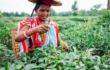 Bệnh phong đe dọa hàng ngàn nữ công nhân ở Bangladesh