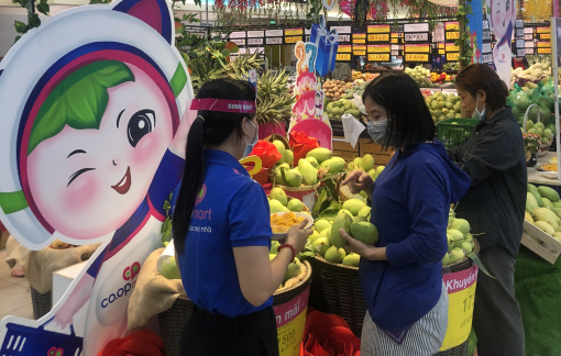 Giá bán siêu tốt, Co.opmart dự ước có thể tiêu thụ hơn 200 tấn xoài Đồng Tháp
