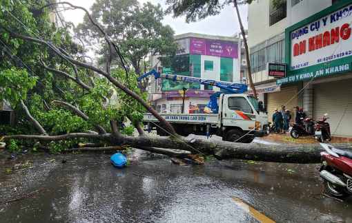 Vụ cây xanh đè người đi đường: Chuyển nạn nhân đến TPHCM điều trị