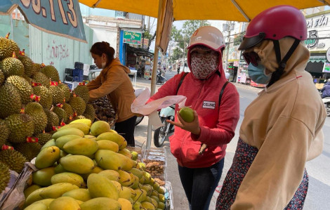 Xoài vào mùa, giá rớt mạnh