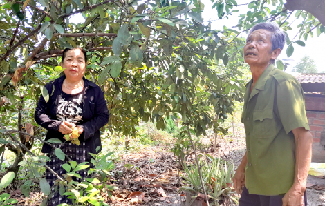 Câu chuyện tình yêu: Ngôi nhà của người thương binh không một tiếng bấc tiếng chì