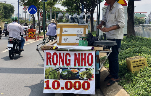 Rong nho hạ giá bán lề đường, giá 10.000 đồng/bịch