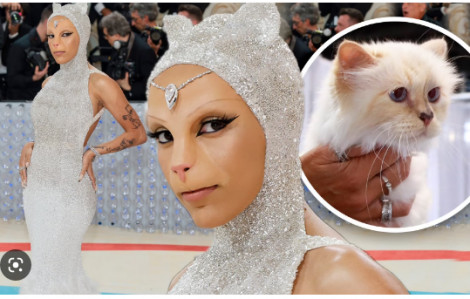 Cận cảnh màn hóa mèo Choupette của Doja Cat trong lần đầu tham dự Met Gala