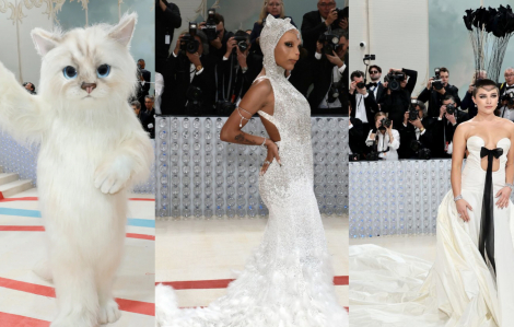 Dàn nghệ sĩ hóa mèo cưng, chim săn mồi, tại thảm đỏ Met Gala 2023