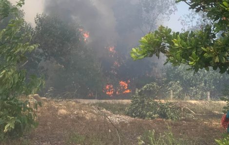 Quảng Nam: Cháy rừng phòng hộ Pacsa, thiệt hại hơn 20ha rừng
