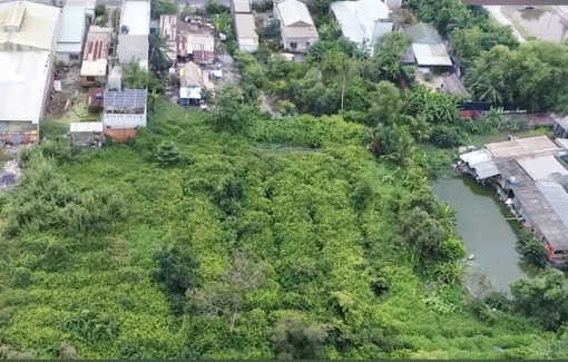 Đất hoang hóa vì chờ giấy chủ quyền