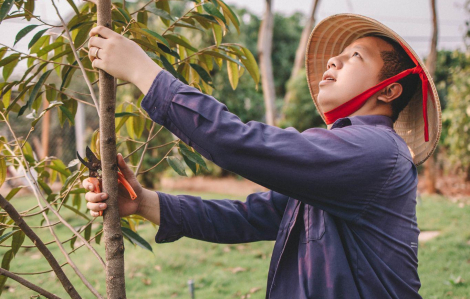 9X Nguyễn Thanh Hoàng ấp ủ ước mơ bỏ phố về vườn xây dựng kênh TikTok chia sẻ về đời sống thôn quê