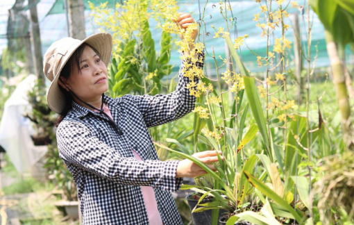 Phát động cuộc thi viết về nông nghiệp, nông thôn