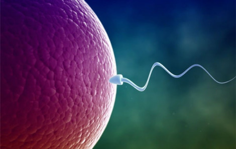 Có nên “để dành” tinh trùng để mau có con?